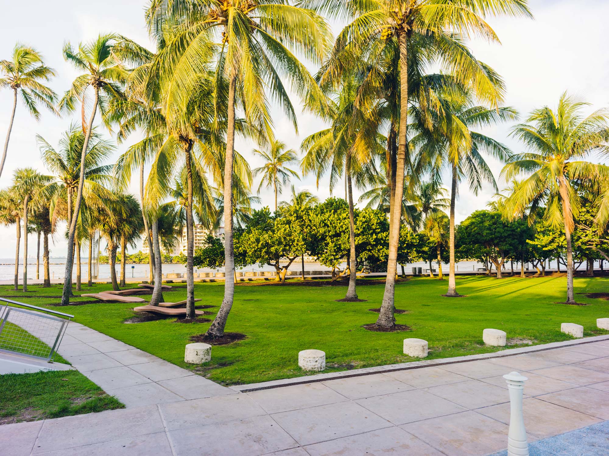 Open lawn and wide paved paths under palm trees at South Pointe Park